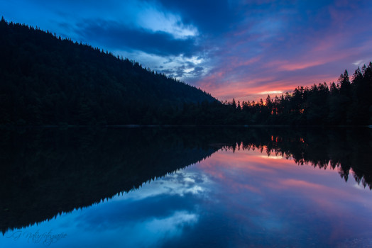 Schwarzwald - Black Forest