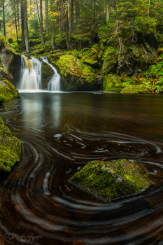 Schwarzwald - Black Forest