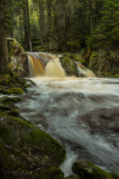 Schwarzwald - Black Forest