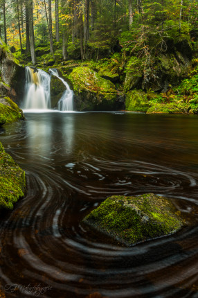 Schwarzwald - Black Forest